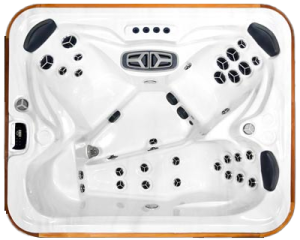 Arctic Spas FOX